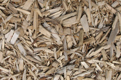 biomass boilers Wester Dechmont